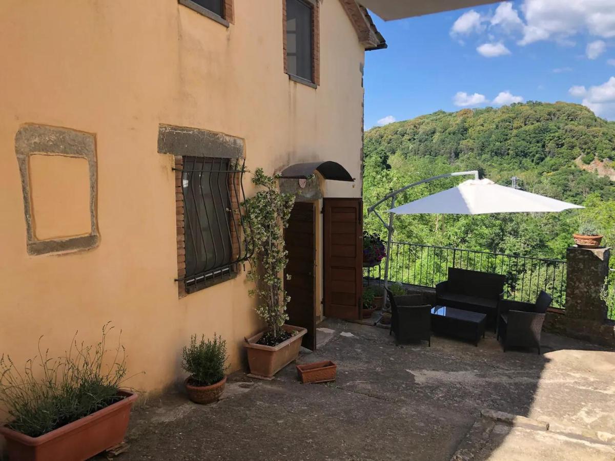 Morelliana4Rooms Scansano Εξωτερικό φωτογραφία